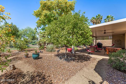 14819 W LUPINE Lane Surprise AZ 85374