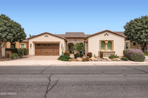 198 E ORANGE BLOSSOM Path San Tan Valley AZ 85140