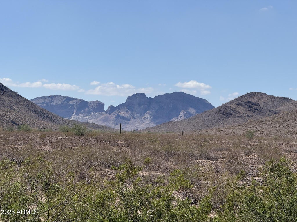Photo of 40473 W Harrison Street, Tonopah, AZ 85354 (MLS # 7093923)