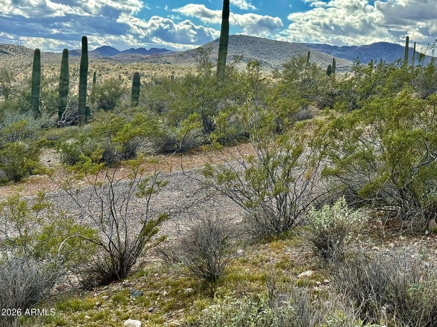 So many opportunities with this 3.73 acres in the heart of Morristown, Arizona. Ideally positioned just off US 60, this prime parcel offers exceptional accessibility while still delivering the wide-open space and tranquility that define the Arizona lifestyle. Electricity close by! With no HOA and no deed restrictions, you have the freedom to create your vision--whether that's a custom-built home, winter retreat, equestrian setup, or long-term investment hold. Enjoy a central location with convenient access to Wickenburg's world-renowned roping arenas, endless outdoor recreation at Lake Pleasant, and the rapidly expanding employment corridor anchored by the new TSMC semiconductor facility. As growth continues to move northwest from the Valley, this area is poised for exciting future development and increasing demand. Whether you're seeking space to build, invest, or simply secure land in one of Arizona's most promising growth corridors, this is a rare opportunity to own acreage with flexibility, location, and long-term potential.