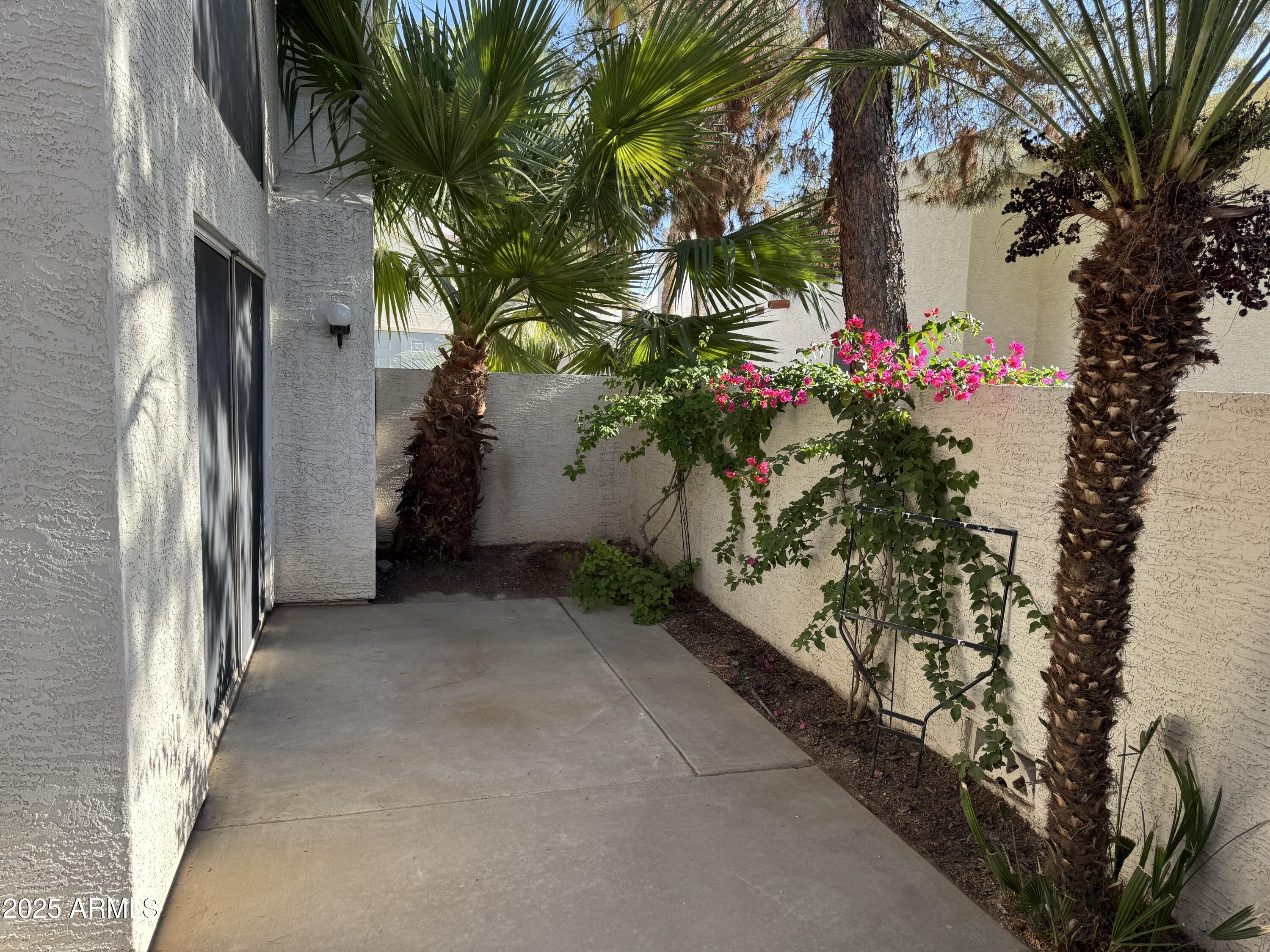2100 W LEMON TREE Place 29