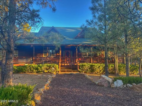 2952 Country View Lane Overgaard AZ 85933
