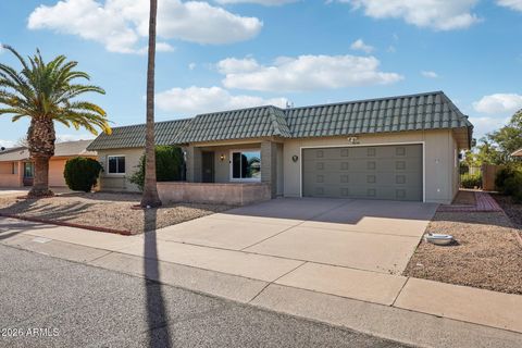 9843 W WRANGLER Drive Sun City AZ 85373