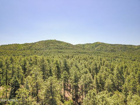 A home in Prescott