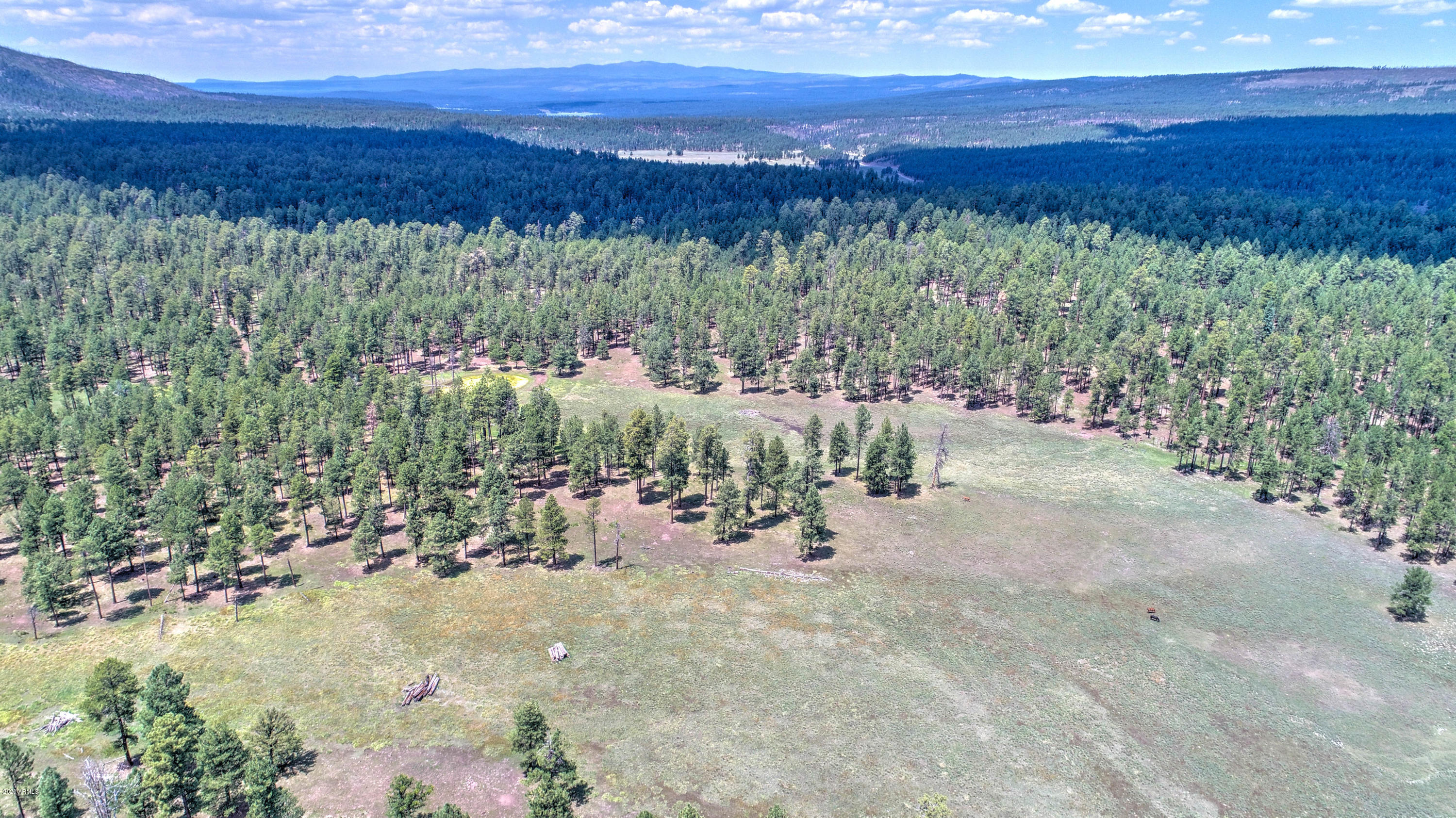 THE JOSH RANCH - Residential