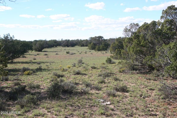 TBD 7230-002, ST JOHNS, AZ 85936 - Image fd5e2c3ce10ddc82f37872da640bbb8f/3973589995