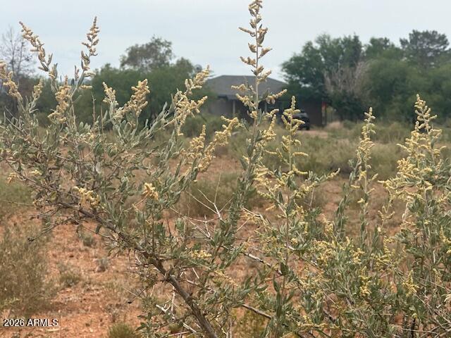 COCHISE RANCHETTES - Residential