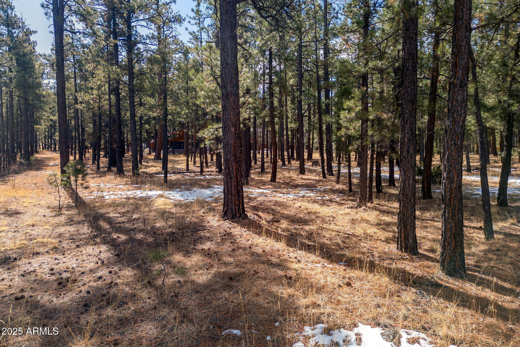 3 COUNTY ROAD N1062 -- 4