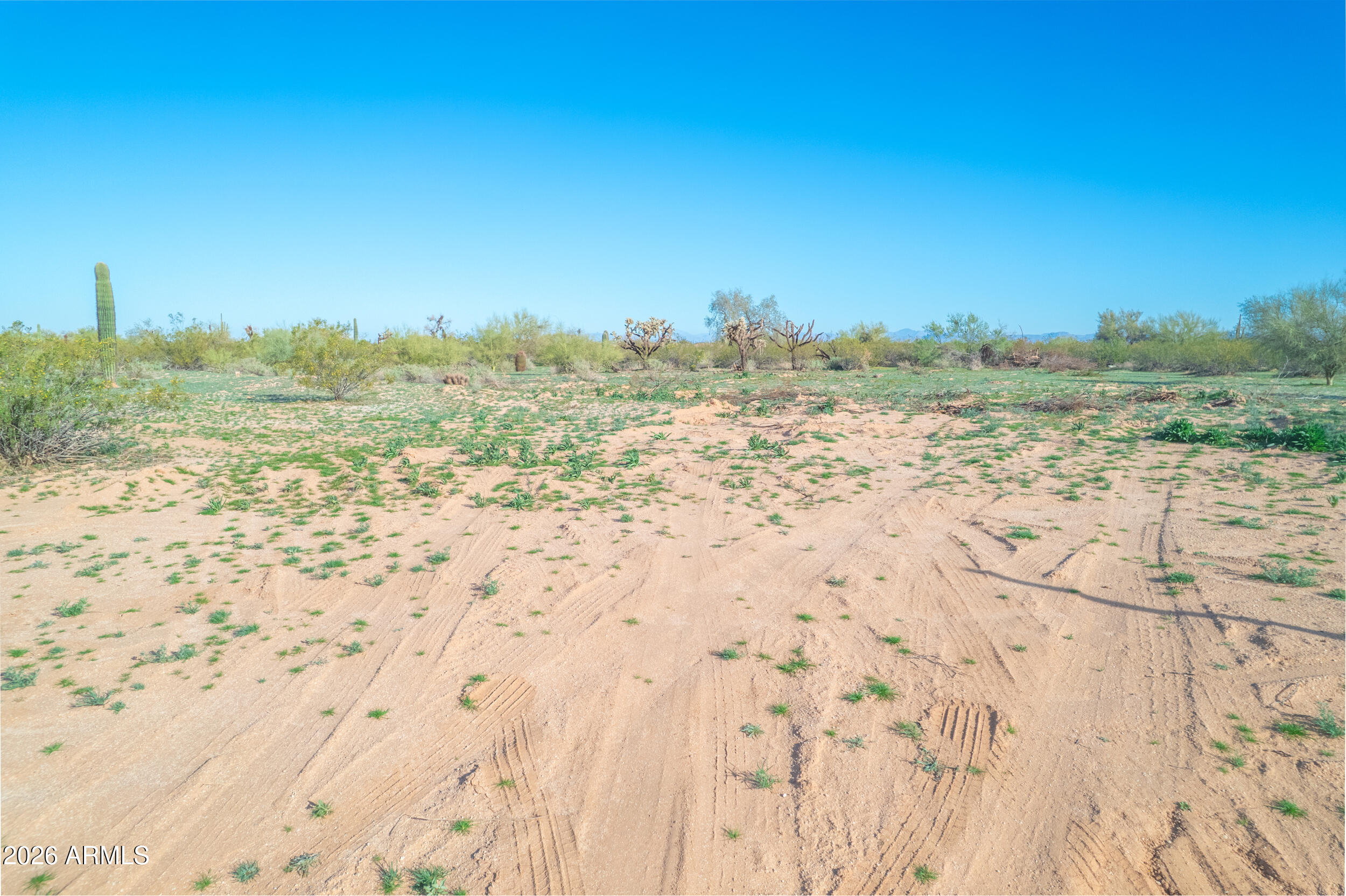 1850 E Cactus Forest Road -