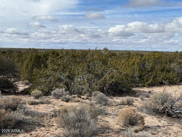 N7421 N n7421 -- 20637003