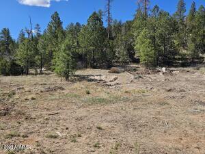 3326 Black Canyon Road -