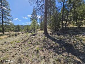 3326 Black Canyon Road -