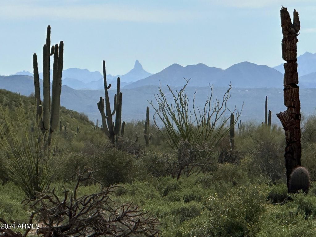 Photo of 168 E Bajada Drive #D, Rio Verde, AZ 85263 (MLS # 6761350)