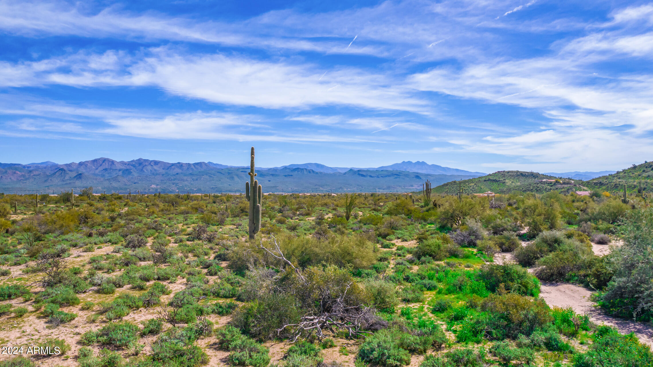 168XX E Bajada Drive D