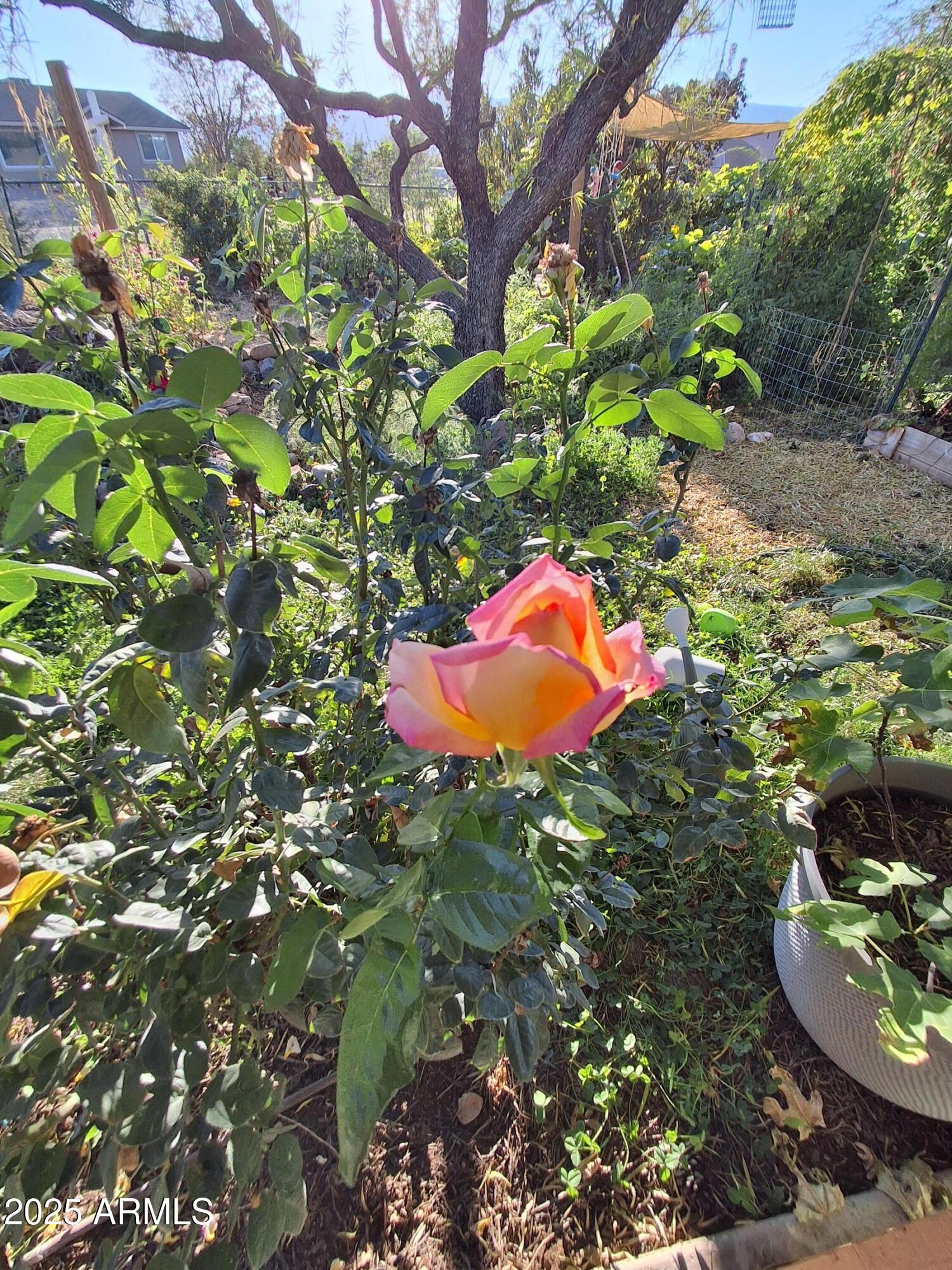 4020 E CREEK VIEW Drive