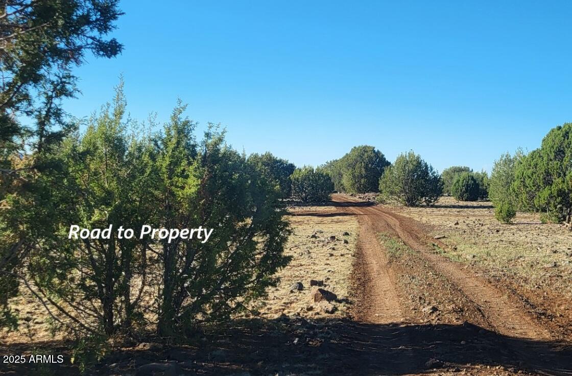 369 B E Antler Trail