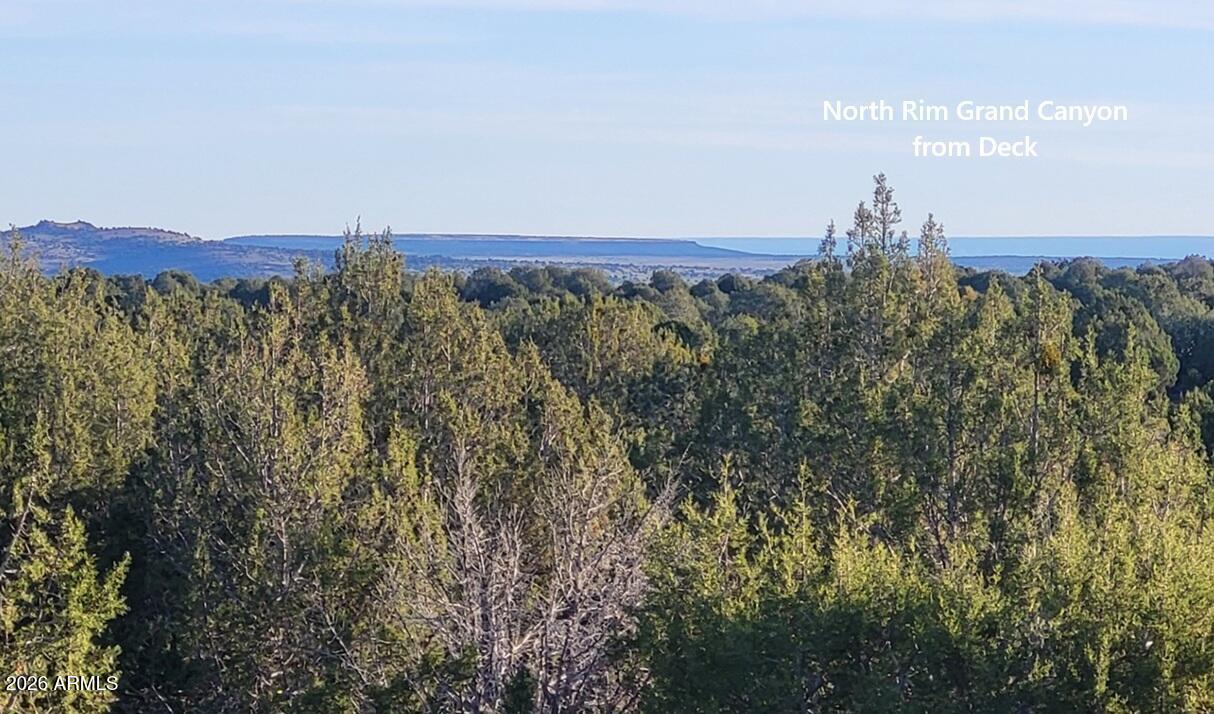 369 B E Antler Trail