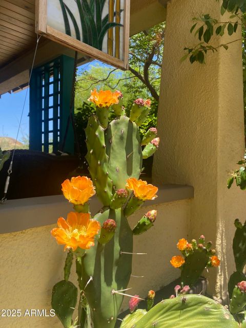 A home in Bisbee