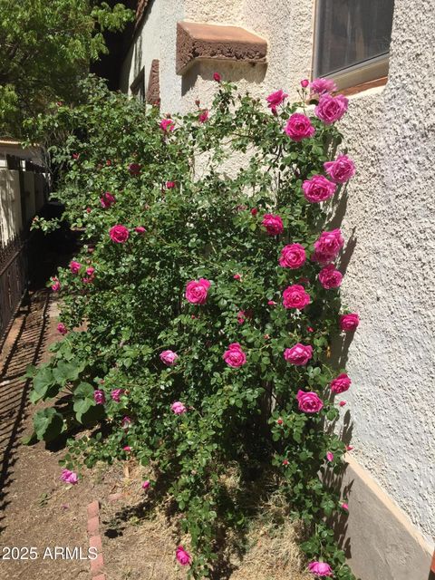 A home in Bisbee