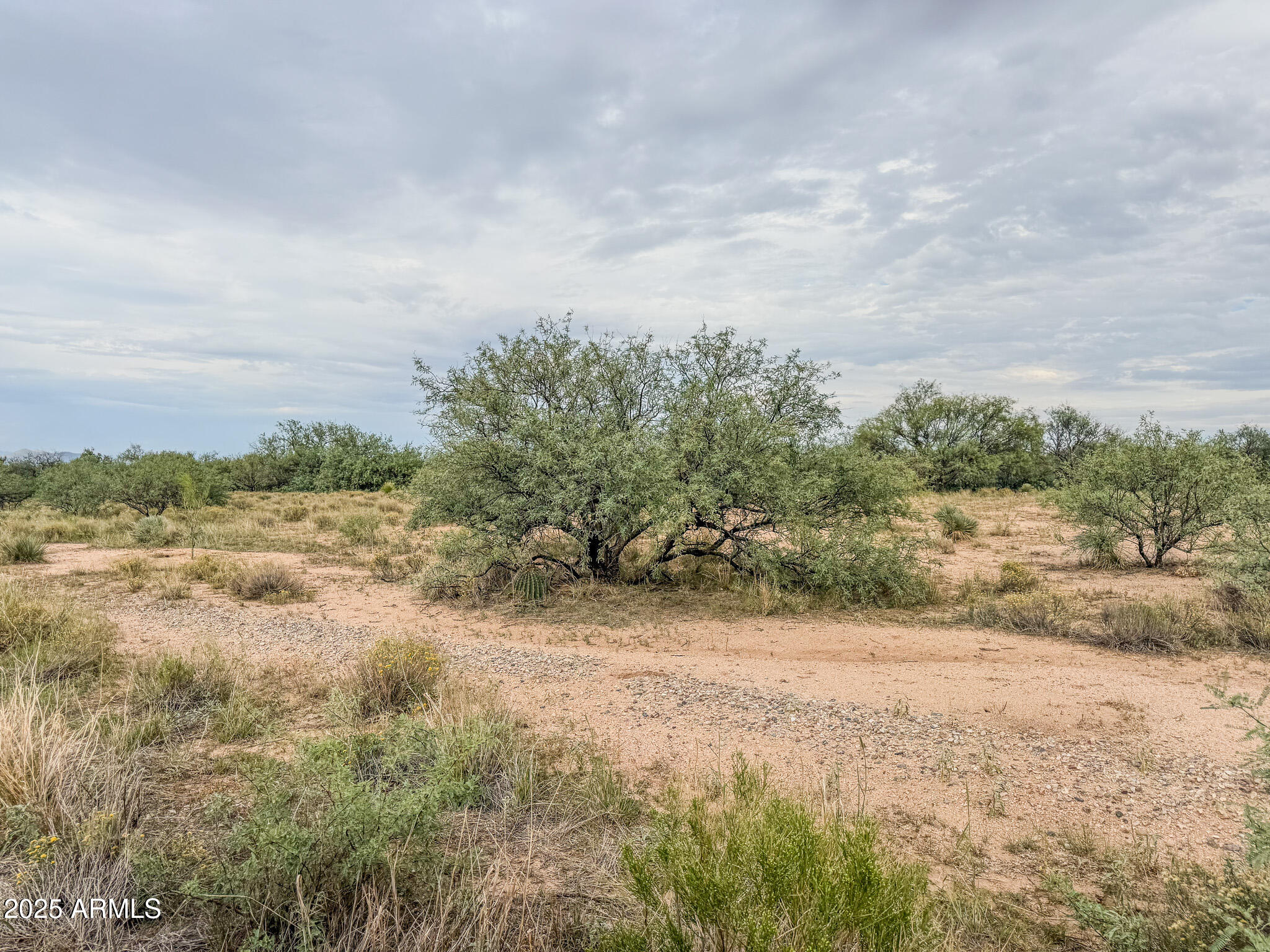 000 Tequila Trail - 2