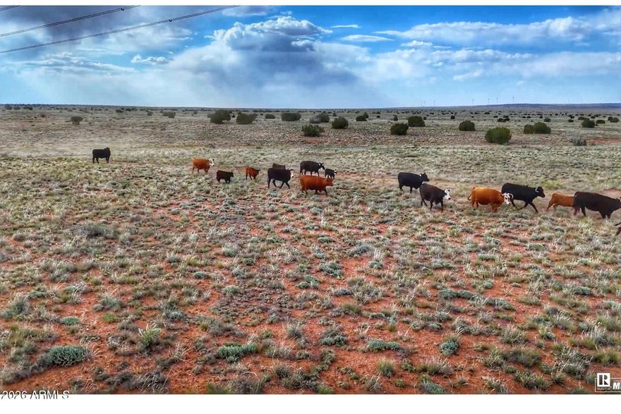DESPAIN RANCH - HEBER, ARIZONA
18,441± Acres | 3,099.66± Deeded | Working Cattle Operation | Water Infrastructure | Hunting Unit 4B | Borders National Forest
Located in the high country of Heber, Arizona--within Navajo County and just north of the Mogollon Rim--Despain Ranch is a financeable, large-scale working cattle operation encompassing approximately 18,441± total acres (3,099.66± deeded) supported by extensive State, BLM, and private grazing lands. Designed for efficiency and long-term sustainability, the ranch supports 324± cow/calf units and features established water infrastructure including 2 wells, storage systems, 11 dirt stock tanks, and natural drainage, along with corrals and historic working facilities. Situated at approximately 6,500 feet elevation, the ranch benefits four mild seasons, moderate winters, and reduced supplemental feeding requirements, making it a cost-conscious and highly functional operation. Positioned within a wind energy corridor and bordering the Sitgreaves National Forest, this property offers both operational strength.
Beyond its operational strength, Despain Ranch is set within one of Northern Arizona's most scenic and recreation-rich regions. Expansive views stretch across Chevelon Canyon, rolling arroyos, and the dramatic landscapes of the Mogollon Rim, creating a true high-country experience. The ranch offers direct access to thousands of additional acres surrounding the Sitgreaves National Forest, ideal for horseback riding, hunting, and exploring. Wildlife is abundant, including Rocky Mountain elk, pronghorn antelope, mule and whitetail deer, black bear, wild turkey, and mountain lion within Arizona's premier Hunting Unit 4B. For outdoor enthusiasts, Chevelon Canyon Lake--just 10± miles away--provides secluded, walk-in access to exceptional trout fishing, while nearby Fool Hollow Lake offers additional year-round recreation. Despite its privacy, the ranch remains conveniently located approximately 1± hour from Petrified Forest National Park and about 3± hours from both the Grand Canyon and Phoenix, providing access to world-class destinations, dining, and international travel.