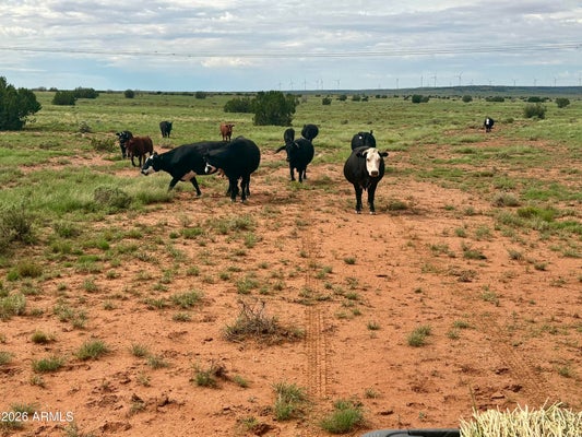 SAW MILL RD, HEBER, AZ 85928 - Image ffb03343b36f032eea74f3fdd70bf0dd/2789519783
