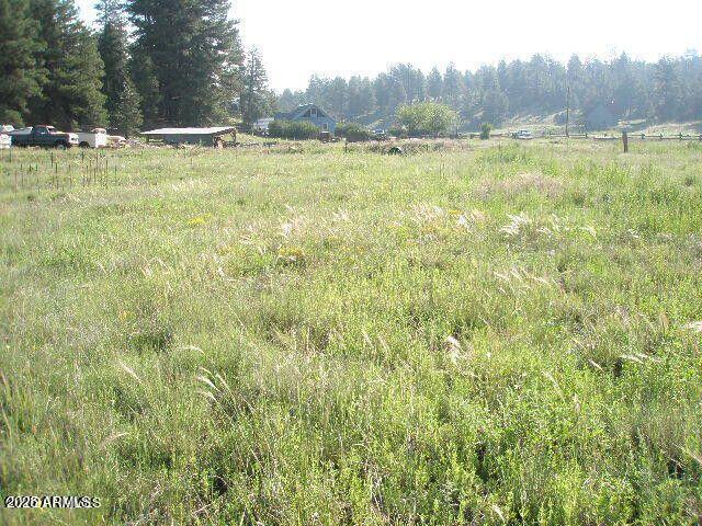 3090 HAPPY TRAILS Drive 8