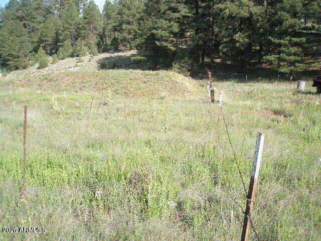 3090 HAPPY TRAILS Drive 8