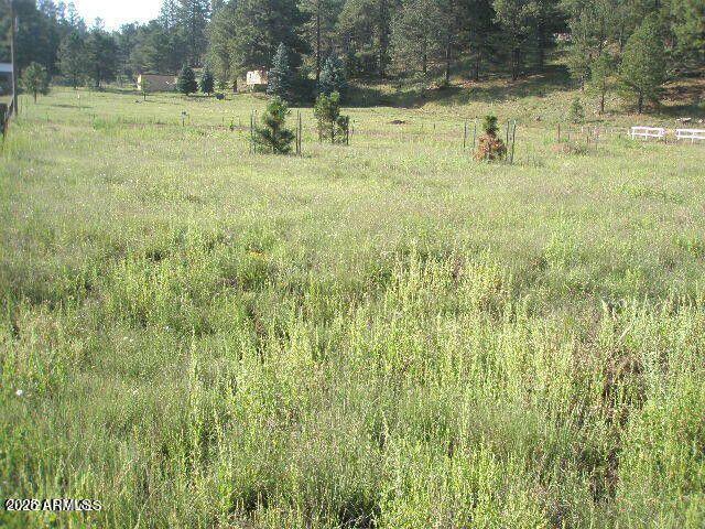 3090 HAPPY TRAILS Drive 8