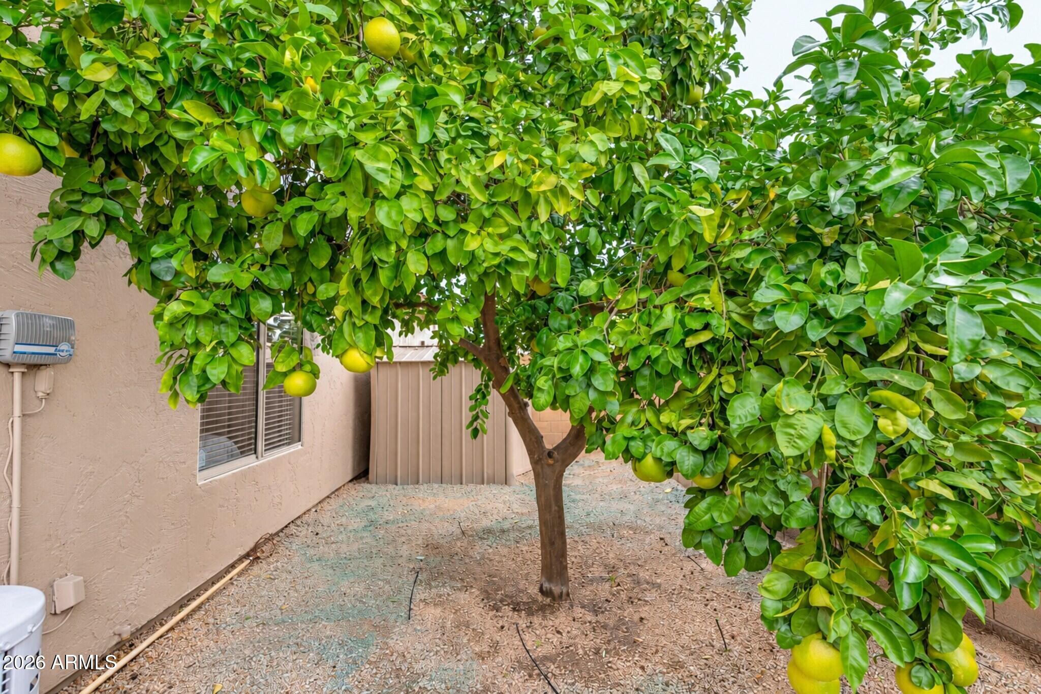 5253 E VILLA RITA Drive