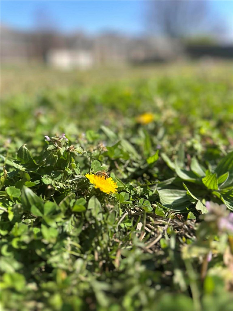 Oaks, The Ph 2 Gentry - Residential