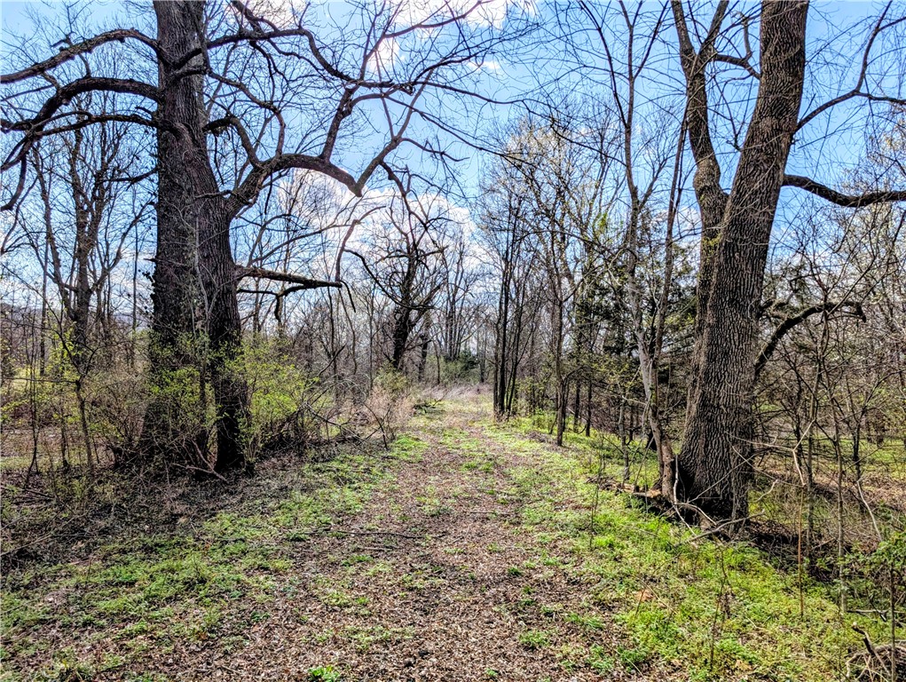 Fayetteville Outlots - Land