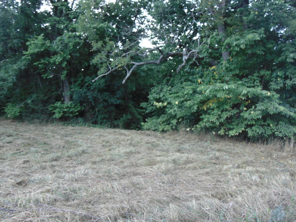 - Land