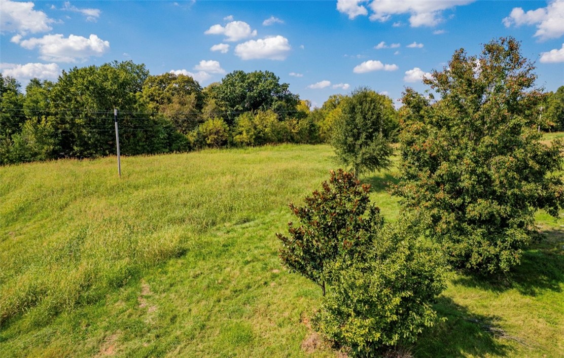 Elm Spgs Outlots - Land