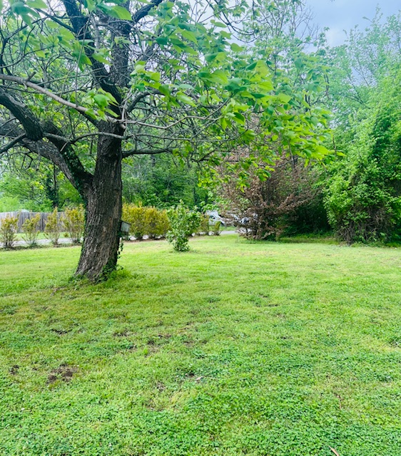 West Fork Outlots - Residential