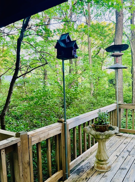 West Fork Outlots - Residential