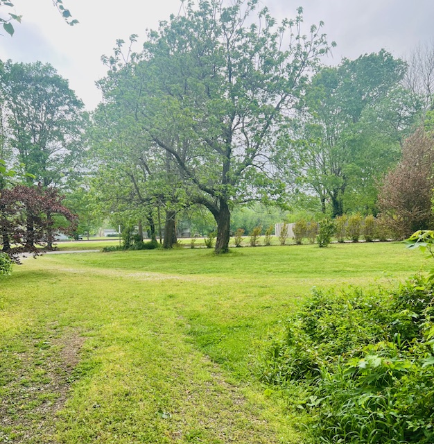 West Fork Outlots - Residential