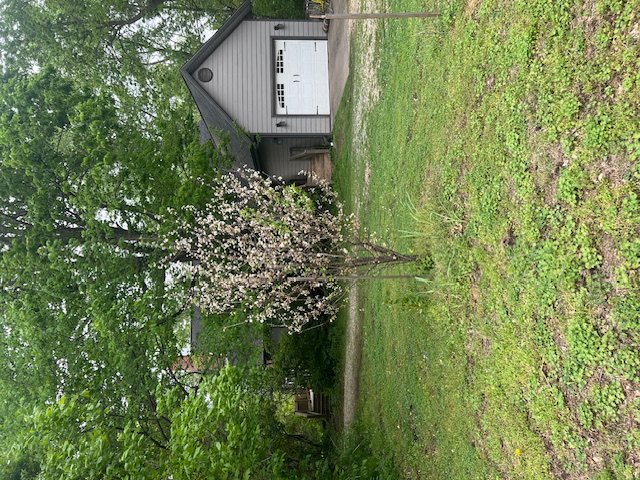 West Fork Outlots - Residential