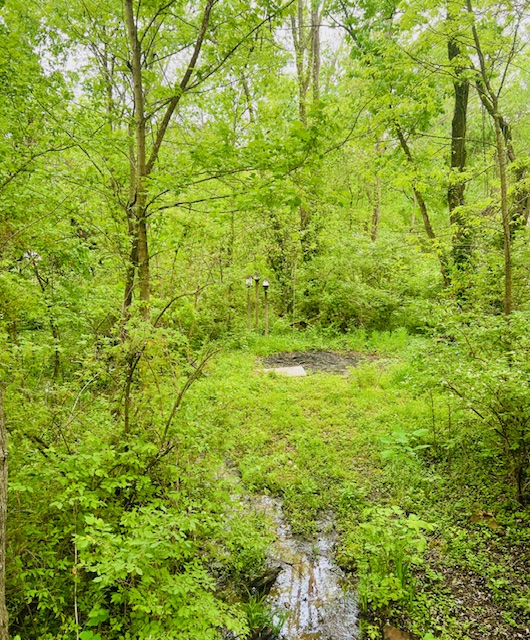 West Fork Outlots - Residential