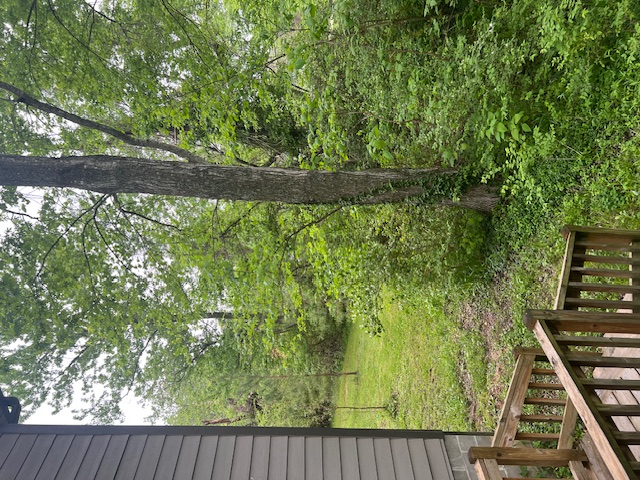 West Fork Outlots - Residential