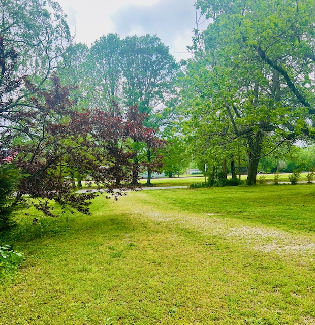 West Fork Outlots - Residential