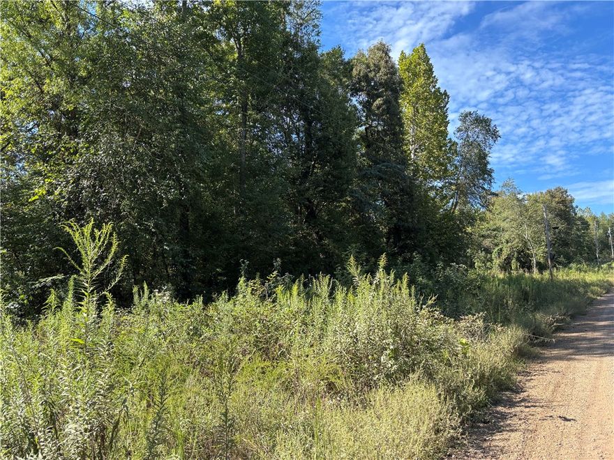 3 rural acres just outside of The Gateway to The Ozarks (Dover, AR) with Crooked Branch creek running across it.  Electric and water are at the street and a septic system is already installed.  Plus, Dollar General and scenic Highway 7 are less than one mile away.  This is a great place to get away and get going.