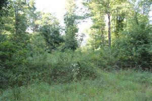 Much desired location! This 20 acres lies just above Ponca and adjoining the National Park Service on Stoverville Road. Ponca Creek runs through the corner of this parcel!! Some flat land and some very steep, could open it up for Sunrise Views. There's an old 14'x16' cabin with electric that could be cleaned out and is still in usable. Phone/DSL is at Co Road.
