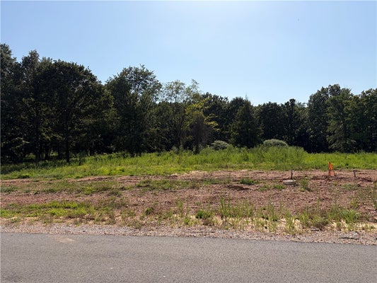 13113 WALLYS WAY, GENTRY, AR 72734 - Image 00a8406844a502a47bc00bbc6066f263/2693565407