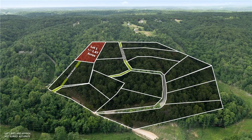 Perfect opportunity to build your dream home on this +/- 1.67-acre wooded residential lot, located just 5 miles from the Beaver Lake Boat Ramp and Lakeshore. Tucked away in a secluded, peaceful setting, this property offers a quiet rural lifestyle with convenient access to town. Electric is already available on-site, while a water well and septic system will be needed. With County Zoning, the current site plan is preliminary and can be tailored to suit your needs in both size and shape, offering flexibility for your ideal build. Esculapia Hollow Rd is currently a dirt road, however, it is set to be paved this summer. Ideally situated approx. 3.5 miles from Lake Atlanta, 4 miles from Downtown Rogers, and 6 miles from Horseshoe Bend Marina, this lot provides the best of both worlds - tranquil living with easy access to outdoor recreation, shopping, dining, and more. Don't miss out on this prime piece of Northwest Arkansas real estate!