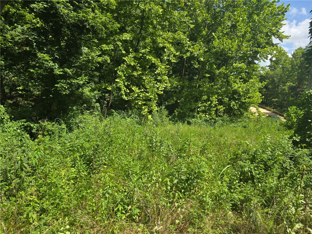 16-19-29-RURAL - Land