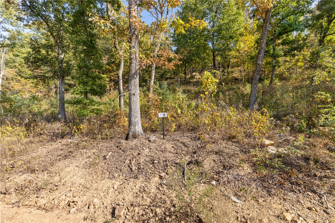 Welcome to Lot 8 (0.50 m/l ac) of Round Mountain Estates. This lot will have seasonal views and could be perfect for that walkout basement you have been wanting. Not one lot is the same in this development so you need to come check out all of them and find the one that works for you. RME is a new, master planned, exclusive subdivision located 10 minutes west of Harrison, AR. The following utilities are already on site making the building process much easier for you; natural gas, fiber optic internet, electric, public water, and sewer. Interested in your family seeing the star lights instead of those city lights? RME is what you've been searching for! RME features a 350 +/- acre common area for its residents that includes a stocked fishing pond, Kissing Rock trail, natural springs to explore, Baby Canyon trail, incredible bluff lines to climb, and views for hundreds of miles that will not only take your breath away but will forever be etched in your memory! Neighborhood amenities coming soon.