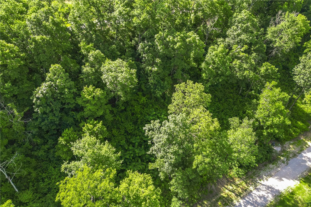 Round Mountain Estates - Land