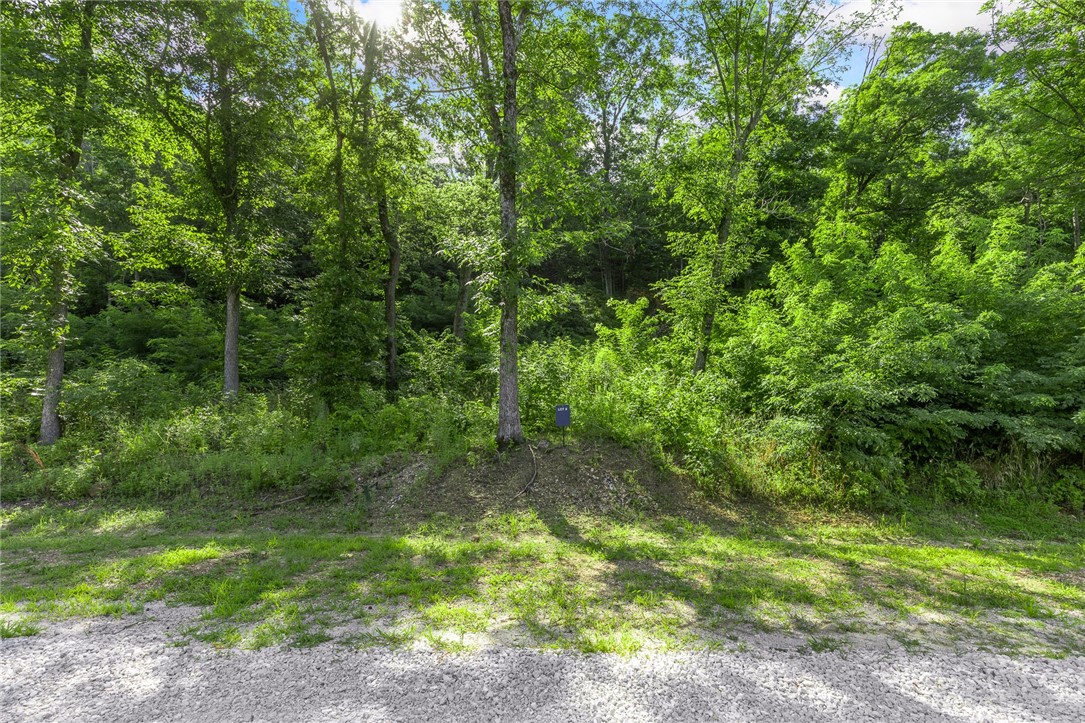 Round Mountain Estates - Land