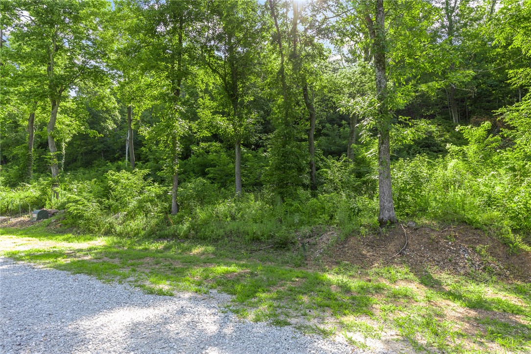 Round Mountain Estates - Land